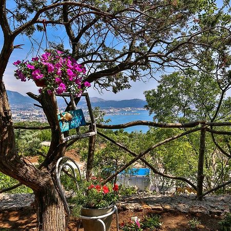 Tramontana Glamping Hotel Bar Exterior photo